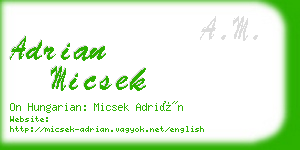 adrian micsek business card